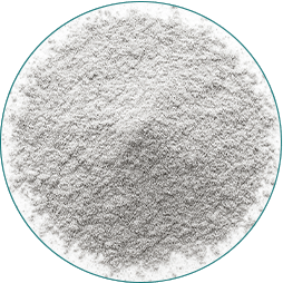 saw-palmetto
